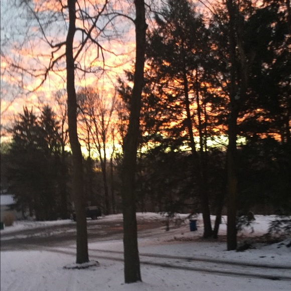 Meet your Posher, Josefina - Picture 1 of 1